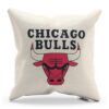 Vankúš Chicago Bulls z NBA