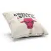 Darček Chicago Bulls z NBA